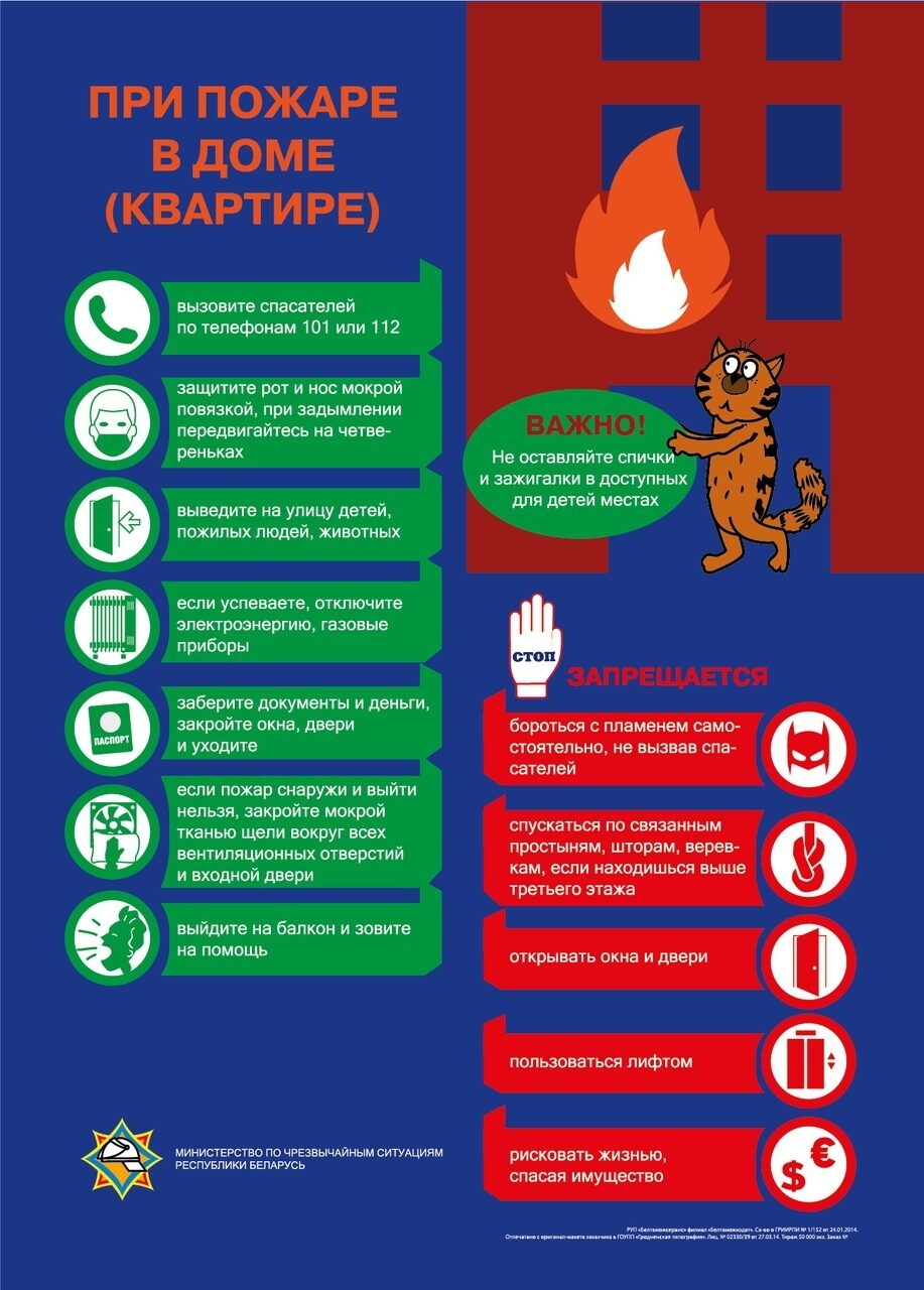 Как защитить каркасный дом от мышей? | tarlsosch.ru | Дзен